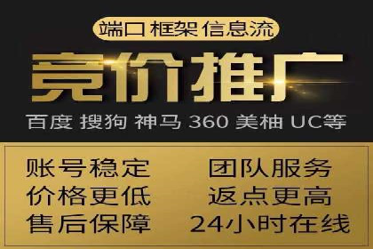 百度竞价入门必看：实操技巧与成功案例